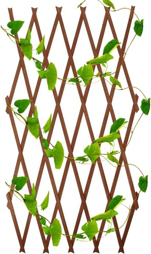 Enrejado de madera expandible para jardín, panel de cerca de pared para apoyar plantas trepadoras - Imagen 2 de 31