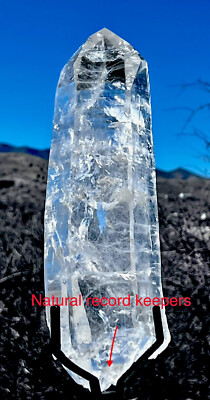 LEMURIAN LASER SEED AAA+ QUARTZ CRYSTAL   DT Record Keepers  ET  RaRe 7+lb
