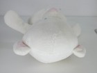 Bild 7 von 9