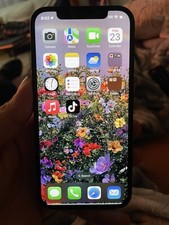 iPhone 12 Blue With TIKTOK.  No Apple ID