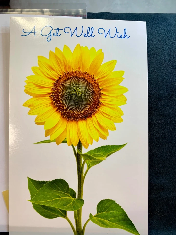 Get Well Soon Greeting Card Beautiful Big Sunflower Healing Thoughts - Image 4 of 4