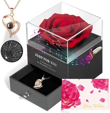 ADDWel Preserved Rose Gifts for 100 Languages of Love Heart Necklace (Red) 