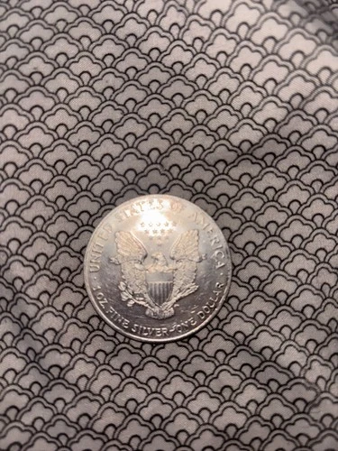 1999 Silver Eagle $1 Dollar 1oz Uncirculated .999 Mint State-MS