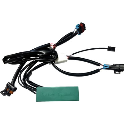 Custom Dynamics Smart Triple Play Module #GEN-SMART-TPU-RZR3