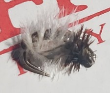 THIN SKIN CADDIS PUPA TAN SIZE 20 FLY FISHING FLIES FRONTIER FLY COMPANY