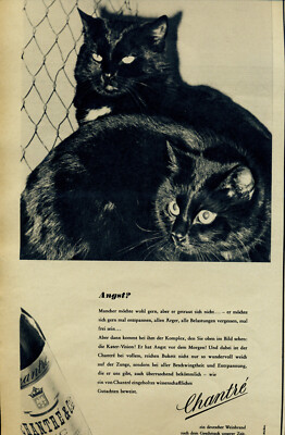 Chantre -- Fear -- 2 Black Cats -- 1957 Advertising --