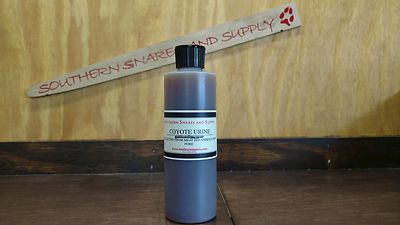 8 OZ COYOTE URINE TRAPPING PURE MEAT FED COYOTES URINE 