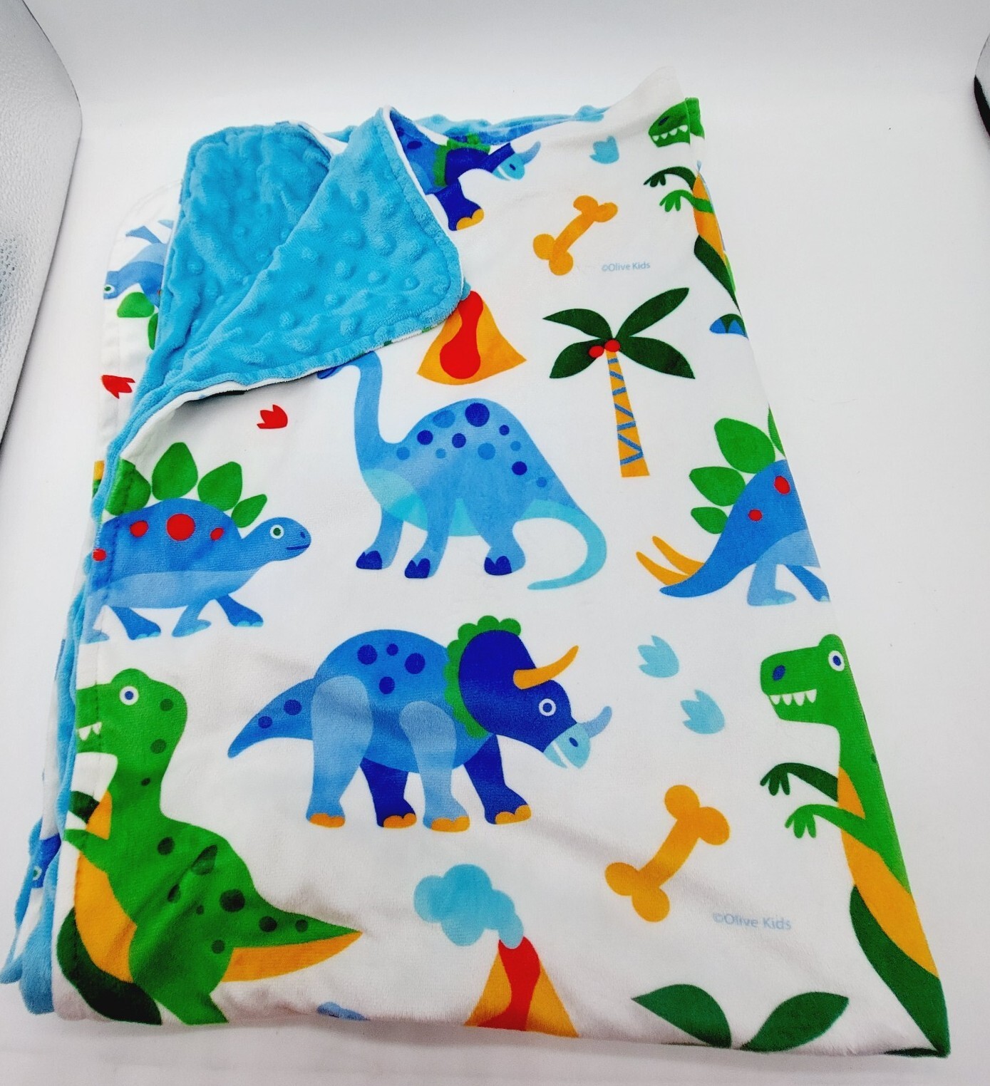 WILDKIN Dinosaurs Baby Blanket Blue White Minky Security 29x39