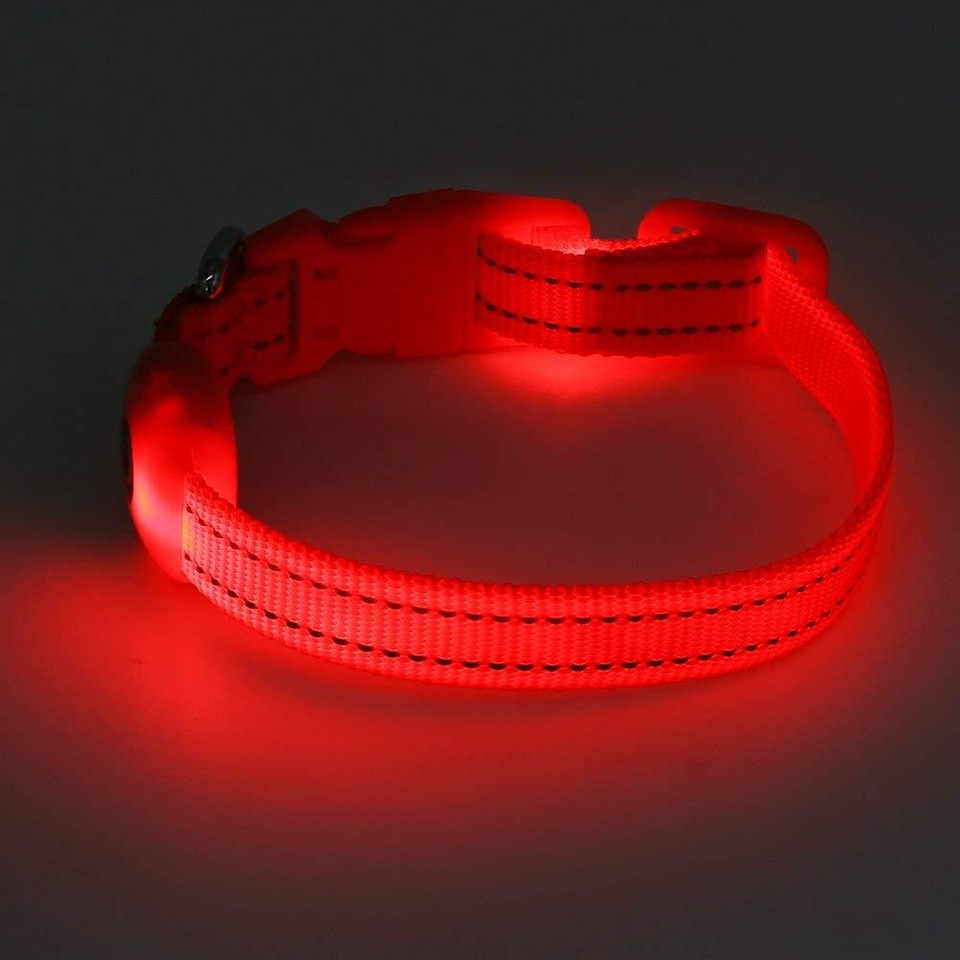 Light Up Dog Collar for Small Dogs Rechargeable LED Dog Collar