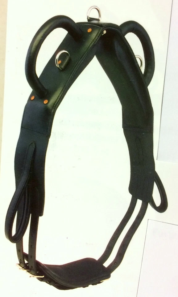 Voltigiergurt Leder Top-Qualität, Voltigurt, Shetty Pony Cob WB *NEU* - Bild 3 von 3