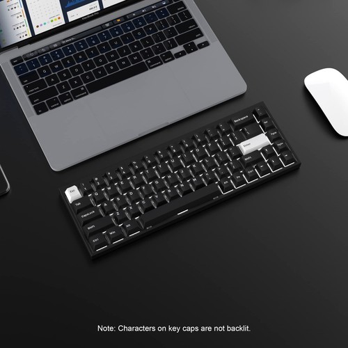 WOB Keycaps 168 Teclas Doble Disparo PBT Personalizado Juego Minimalista Blanco sobre Bl... - Imagen 6 de 6