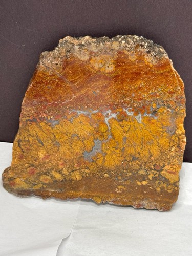 Jasper (Gecko Variscite) from Nevada