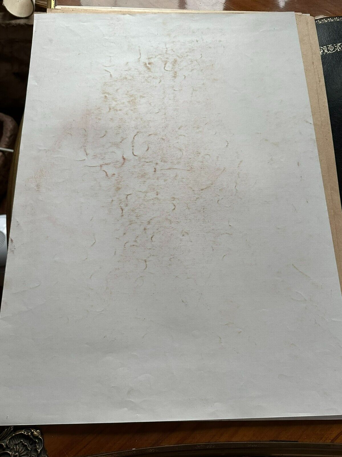 Bild 11 von 11