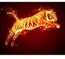 Paint By Numbers Adults kids Fire Tiger DIY Painting Kit 40x50CM Canvas