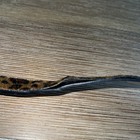 Bild 4 von 7