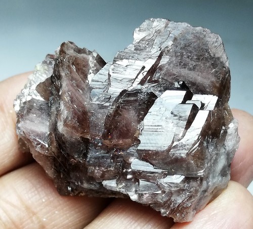 NATÜRLICHER AXINIT - 218 KARAT NATÜRLICHE AXINIT KRISTALLE CLUSTER PAKISTAN, (EM-48), - Bild 11 von 13