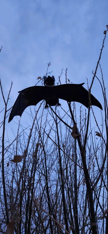 Geocache, contenitore geocaching per pipistrelli da appendere, rotolo di tronchi e tubo bisonte impermeabile  - Immagine 3 di 4