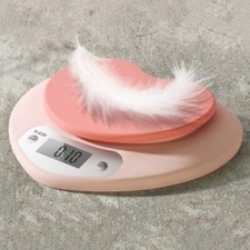 Digital Kitchen High Precision Scale, LCD Display, Up to 11 lbs 5 kg in oz / g