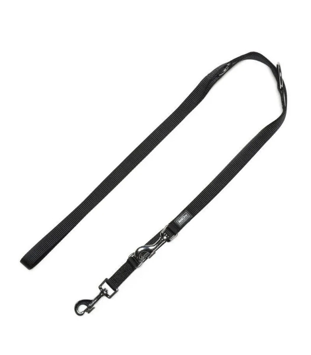 Anione in Hundeleinen online kaufen | eBay.de