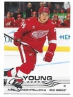 2025-26 UPPER DECK SERIES 2  YOUNG GUNS ROOKIE AXEL SANDIN-PELLIKKA  #484