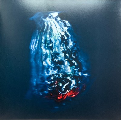 FIS - Clear Stones (LP) (Near Mint (NM or M-)) - 1533187393