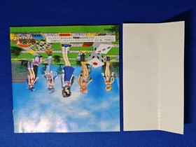 Dragon Master Silk Gaiden Sega Saturn JAPAN