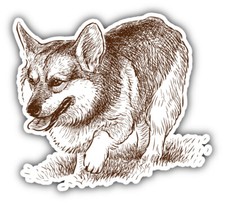 Welsh Corgi Dog Sketch Animal Car Bumper Sticker Decal