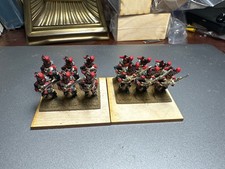 25mm. Well Painted Metal French Napoleonic.