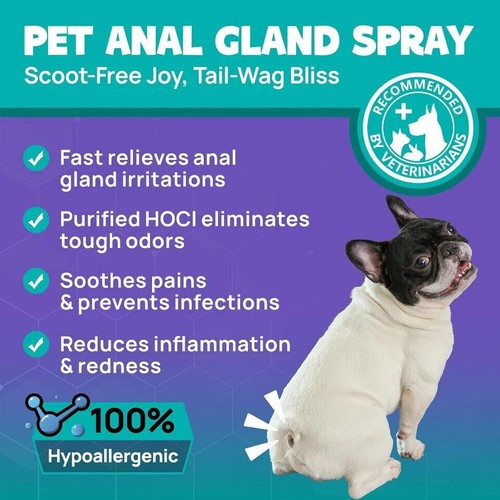 HICC PET Dog Anal Gland Spray - Fast Relieves 4 Fl Oz, purple - Bild 6 von 6