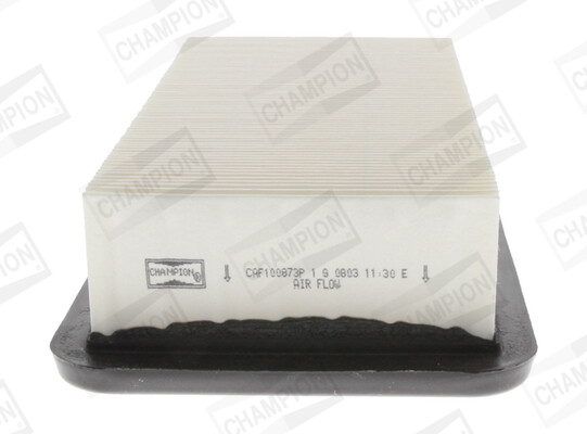Champion CAF100873P Luftfilter FüR KIA Hyundai-image