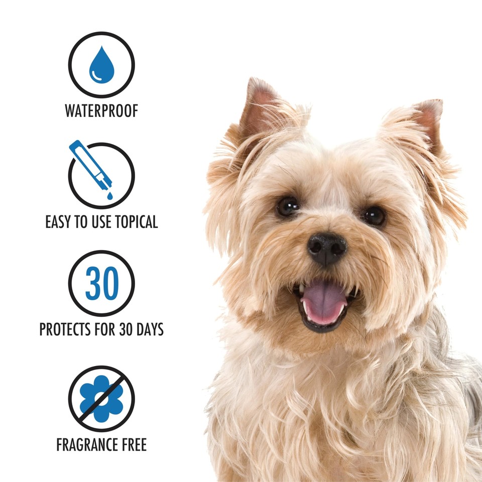 Ultra Flea And Tick Prevention For Dogs Dog and Puppy Treatment and