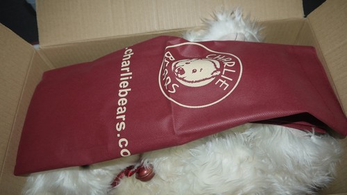 Charlie Bears Baxter CB131380 - Imagen 6 de 7