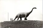 Rppc Brontosaurus, Dinosaur Park Rapid City South Dakota - 1950s Photo Postcard