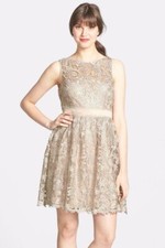 Adrianna Papell Lace Fit & Flare Dress Sz 2 Champagne