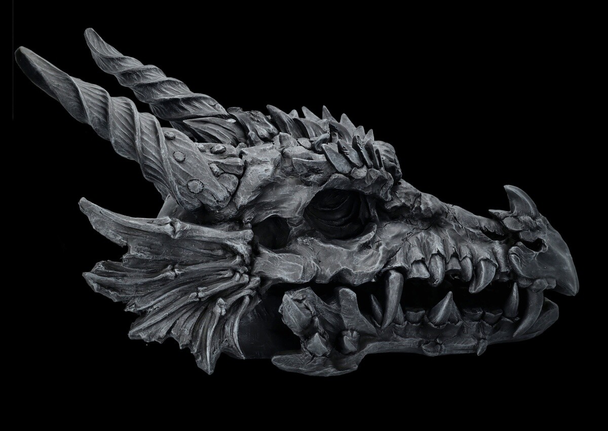Giant Dragon Skull KKL Black - Gothic Decor Fantasy Dragon Skull L 71 Cm