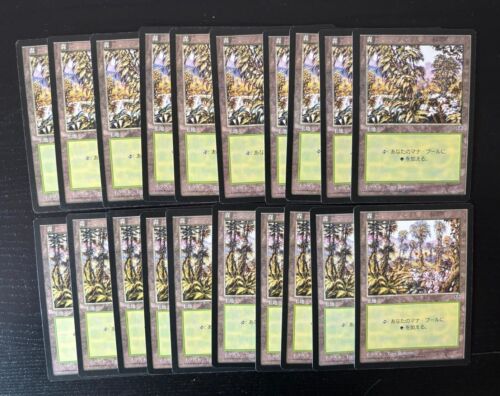 MTG 20X JAPANESE MIRAGE FOREST NM MAGIC THE GATHERING BASIC LAND COMMON - Picture 2 of 6