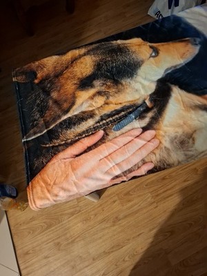 Kuscheldecke Sofadeck Mensch und Tier Eine Freundschaft