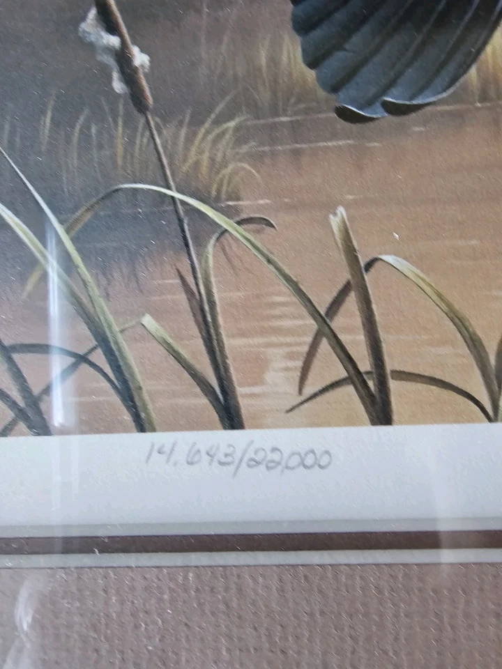 1987 Signed framed art including Snow Goose Stamp Daniel Smith - Image 3 of 4