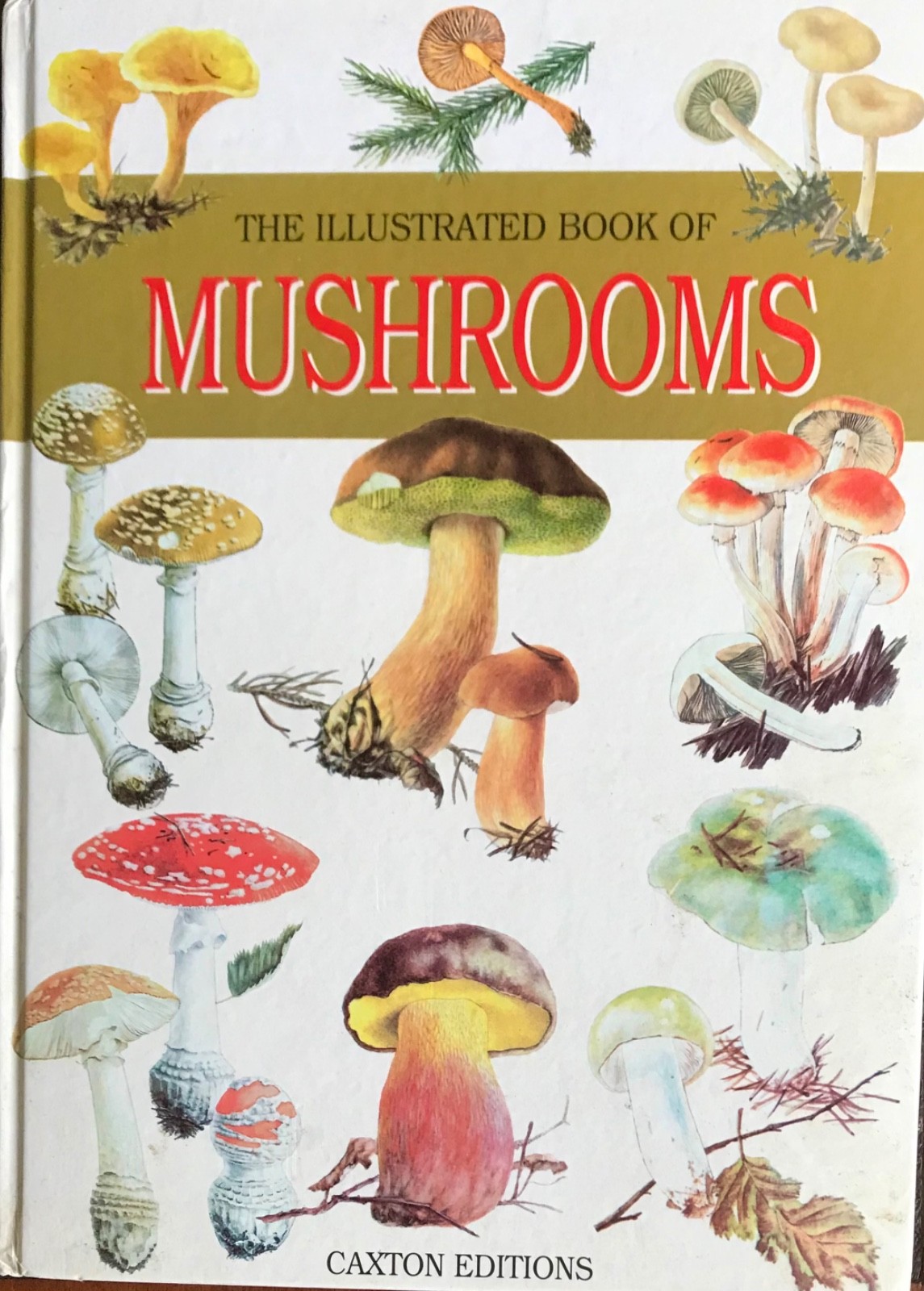The Illustrated Book of Mushrooms