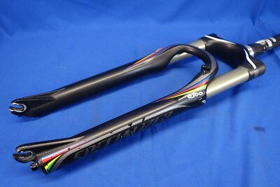 カーボン BRAIN SPECIALAIZED Specialized Brain E100 Future Shock Carbon 26