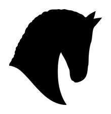Horse Head -V5- Vinyl Decal Sticker - Equestrian Farm Riding Dressage Equine