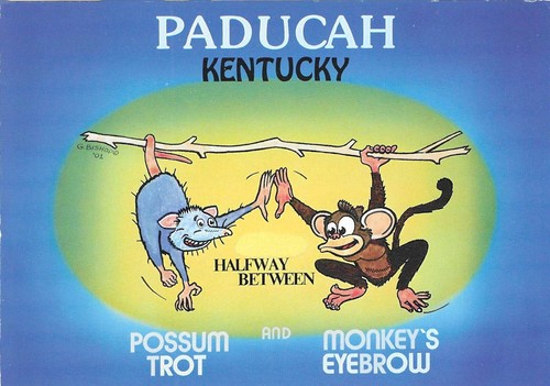 Kentucky Chrom Postkarte Paducah Grüße aus Possum Trab Affen Augenbraue