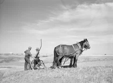 8" x 10" One of the pioneer women of the Oklahoma Panhandle dust bowl