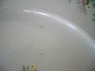 Bild 6 von 11