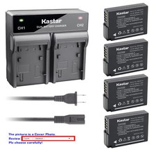 DMW-BLD10 Battery or Dual Rapid Charger for Panasonic DMW-BLD10E DMW-BLD10PP