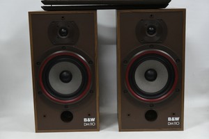 b&w dm110