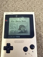 Paperboy (Nintendo Game Boy, 2006)