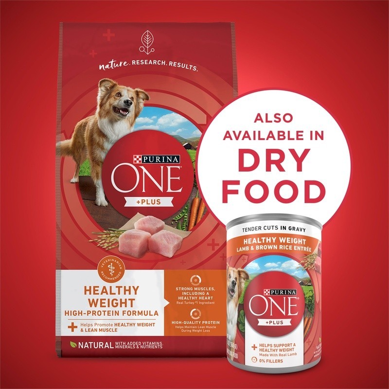 Healthy Weight Wet Dog Food Lamb Brown Rice Gravy Tender Cuts 12 Cans 156 oz New