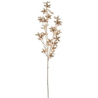 KüNstlicher Stephanotiszweig, 2Er Set, Farbe Champagner, HöHe Ca. 71 Cm