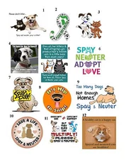 50 Spay / Neuter Your Pets Envelope Seals / Labels / Stickers, 1" x 1.5"